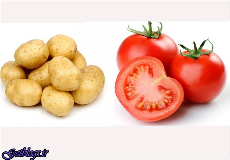 نرخ انواع میوه + قیمت گوجه فرنگی به ۹ هزار تومان رسید
